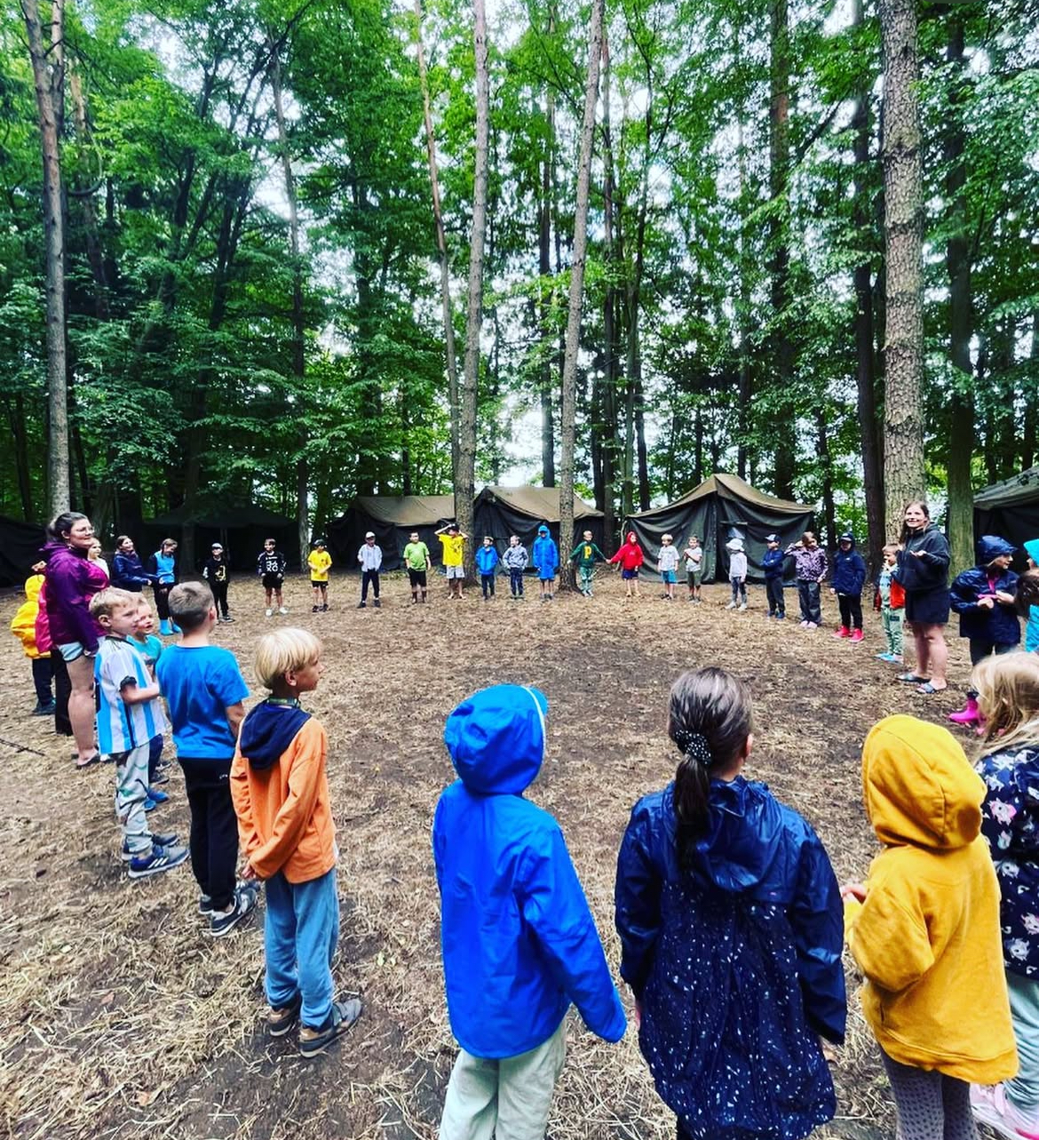 Półkolonie letnie - wycieczka do lasu